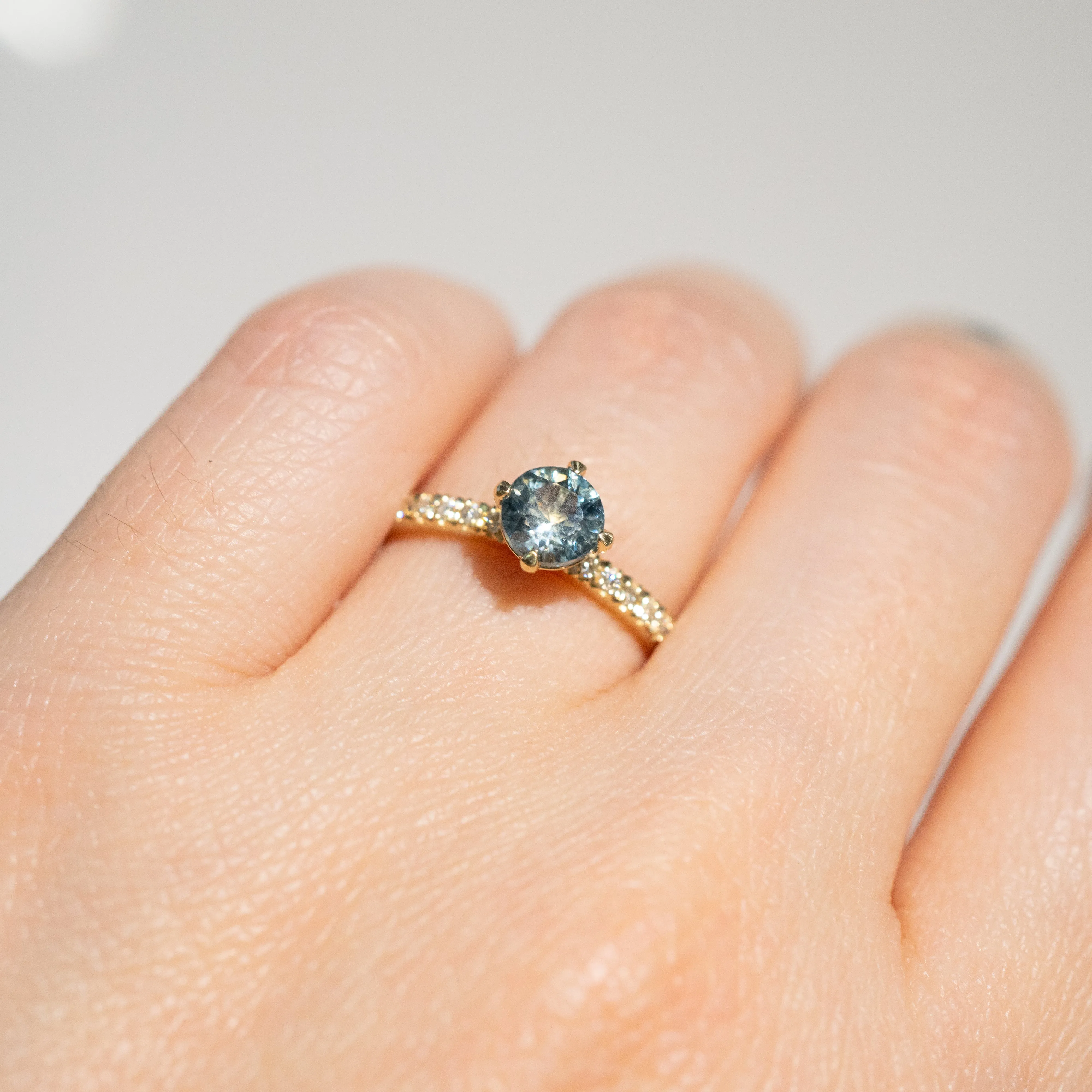 Cardinal Pavé Solitaire Ring | Montana Sapphire    Lab Diamonds in 14k Yellow Gold